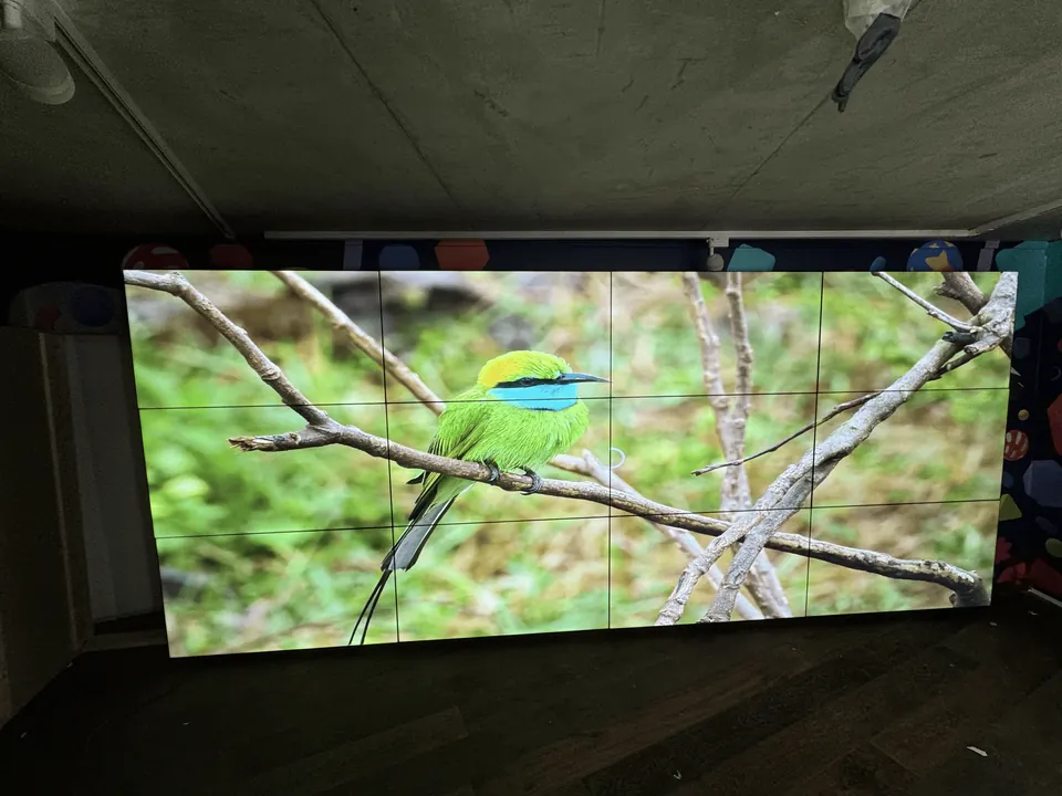 Completed LCD video wall displaying a nature image at The MAC in Belfast